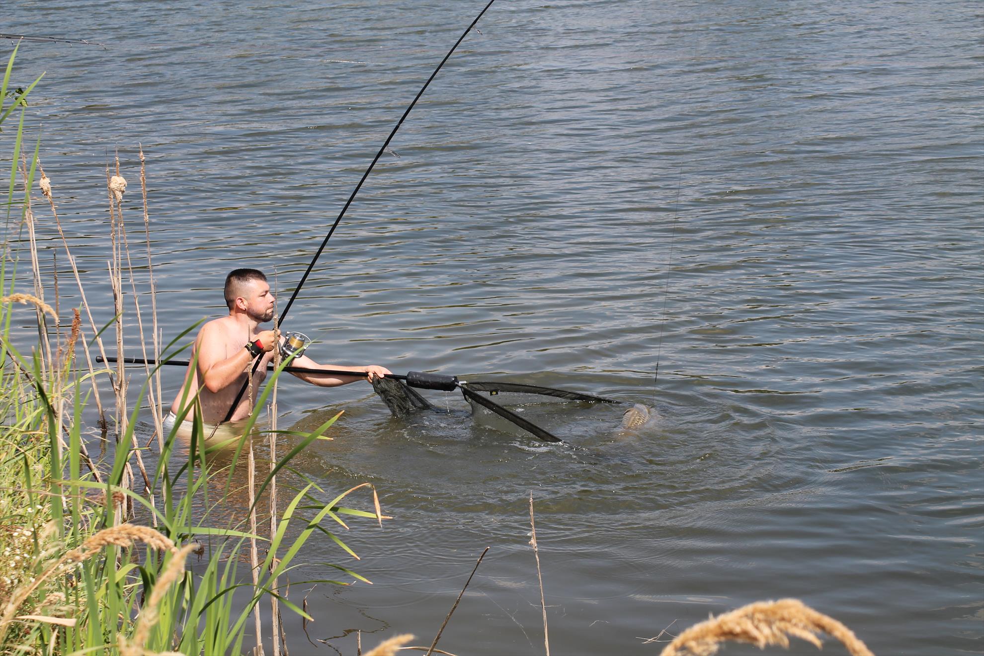 Balastiera Fughiu 29 iul. - 1 aug. - fughiu-107.JPG